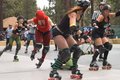 roller derby - the #1 fastest growing female sport in the world