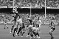 "Hawks swoop on Magpies in a Thriller at the MCG : Malthouse Sacked"