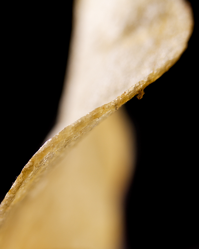 A chip's S