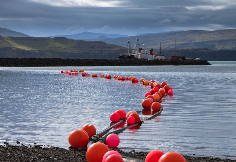 Buoy