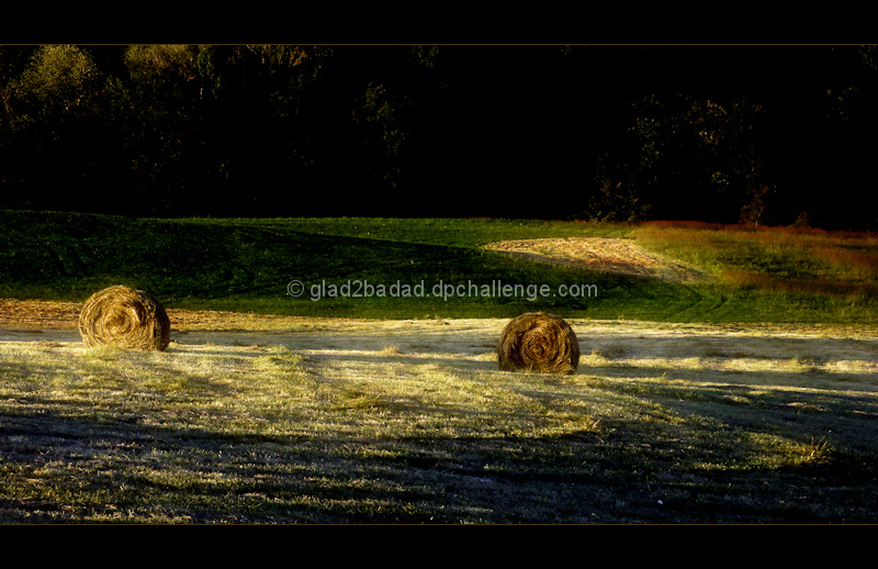 Way of the Hay Farmer