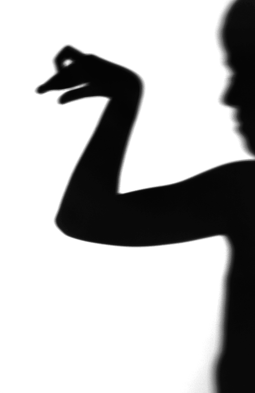 Shadow Puppet