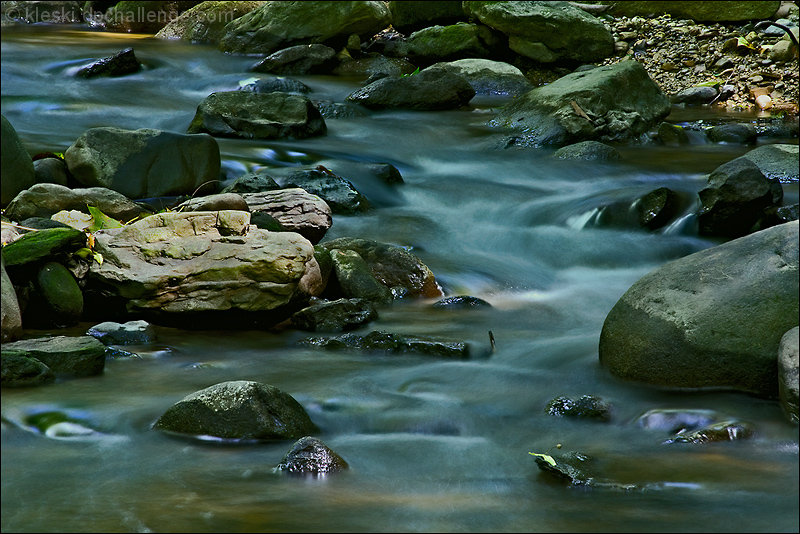 Flow
