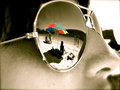 L.A Beach.. 