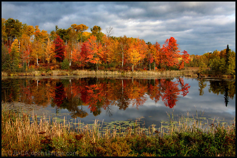 Autumn's Palette