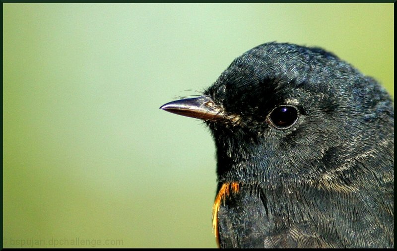 A tringle and a circle