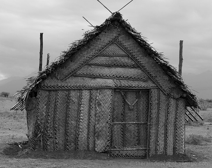 House of the Spirits