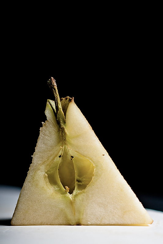 The core of an apple