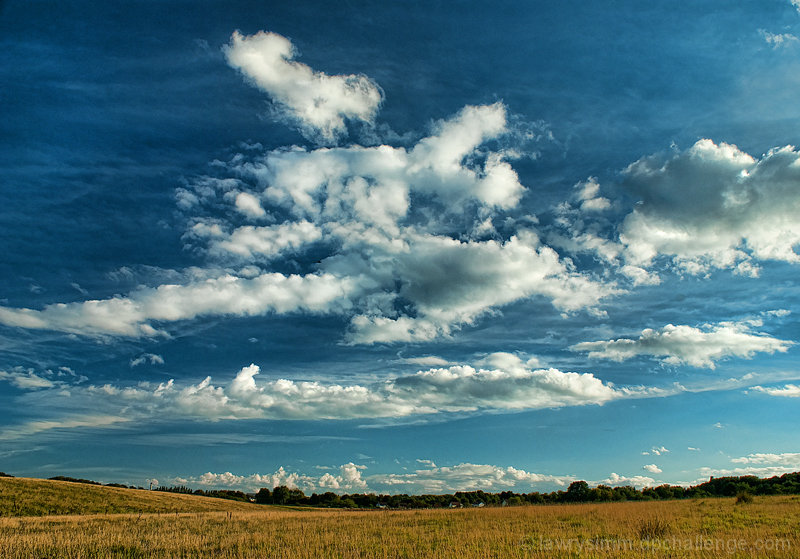 Elysian Fields