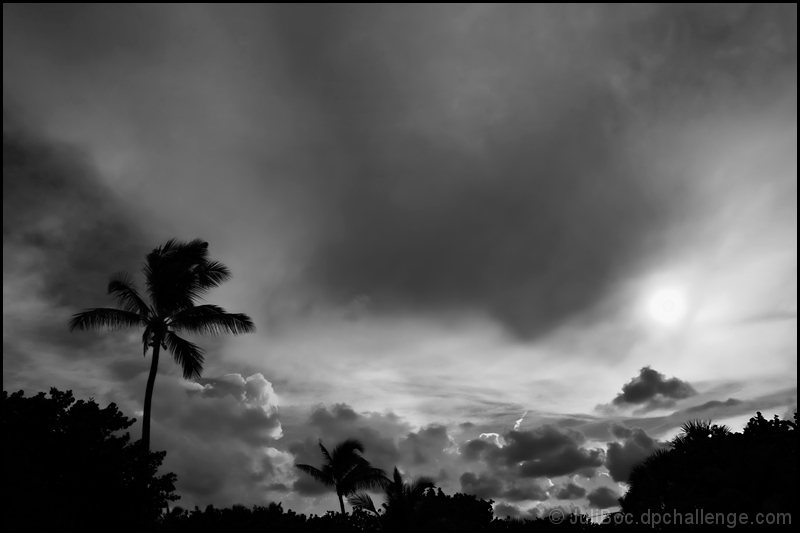 Storm Clouds Rising