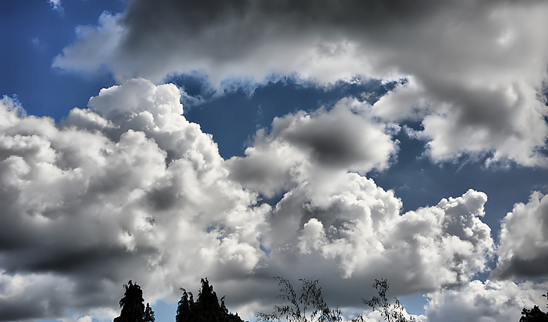 Storm a' Brewing