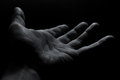 Reach Out