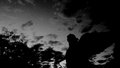 Angel of Darkness