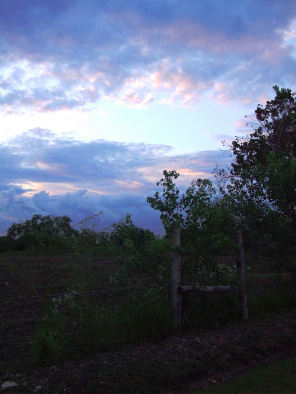 Summer Evening