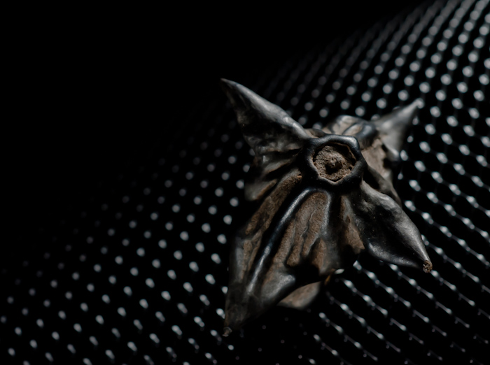 Dark Star