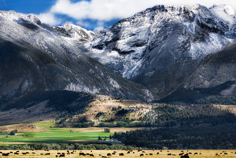 Rain in the Valley, Snow in the Mountains