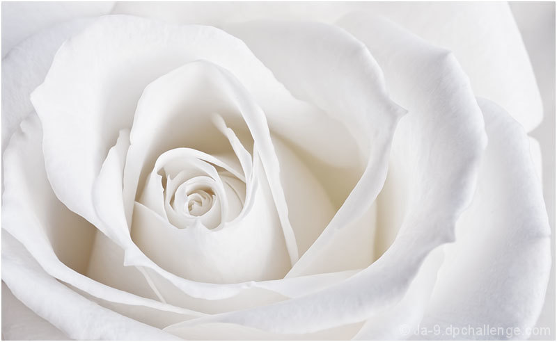 Softly