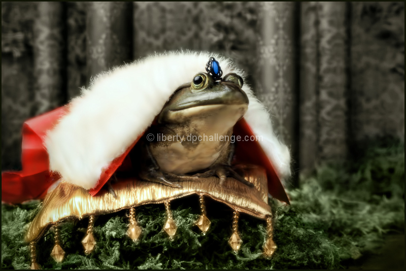 The Frog Prince