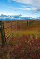 Fall in the Foothills