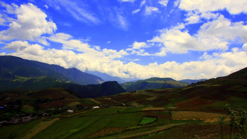 Farmers Field