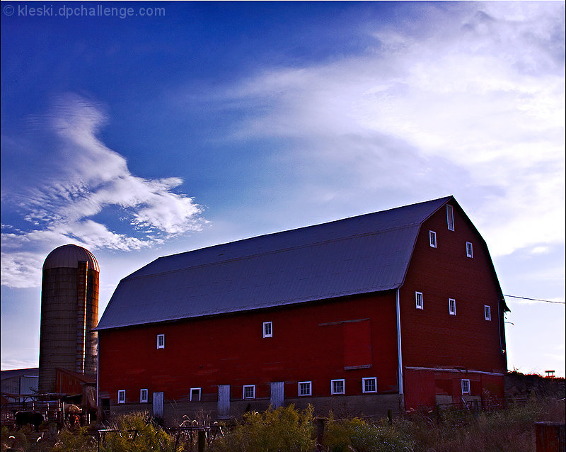Down at the Farm