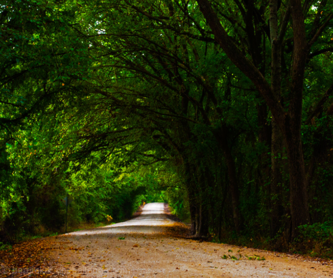 Down the Lane