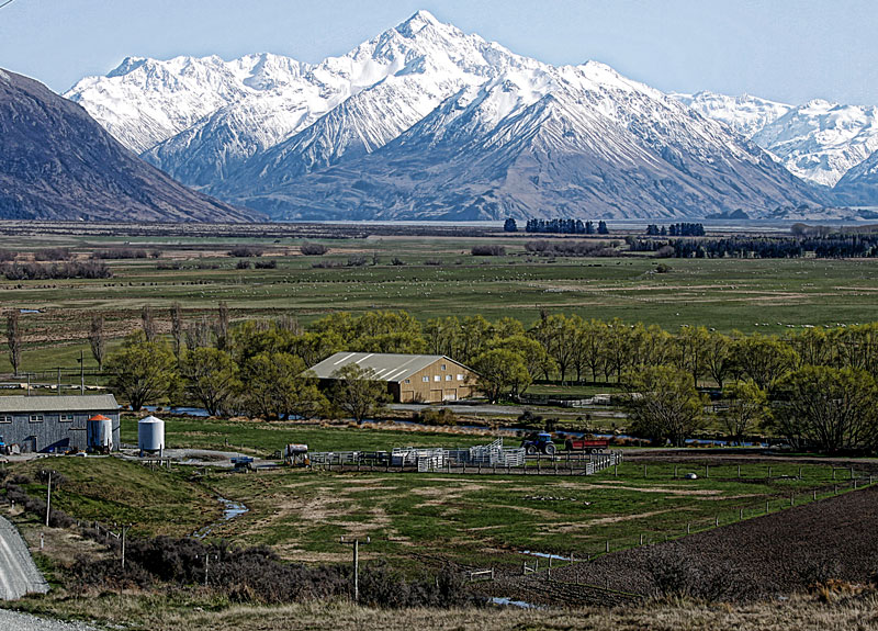 High Country Life