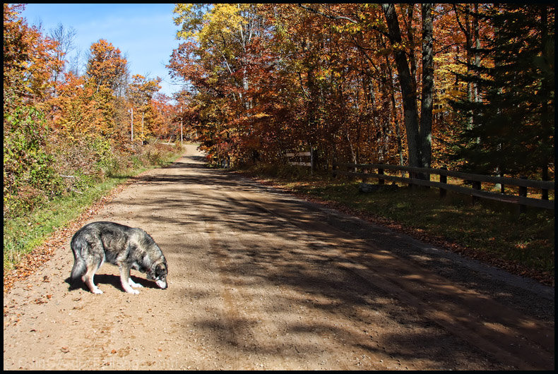 Country Road