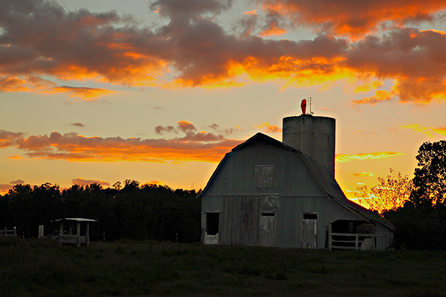 Slice of Country Life