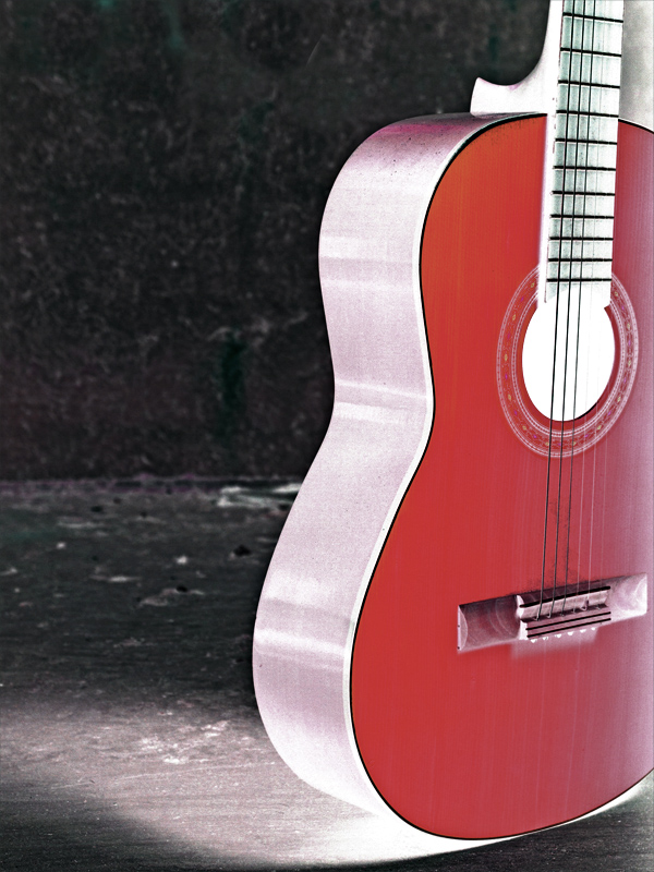 Guitar