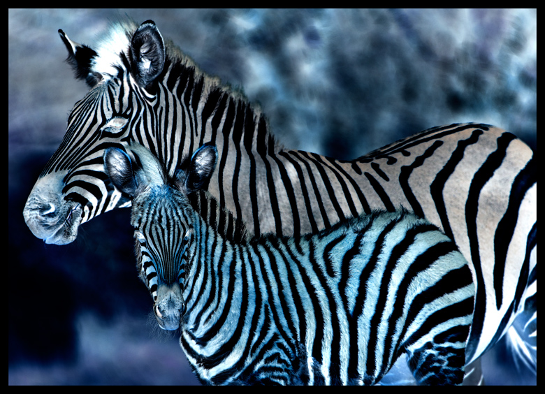 Mother & child