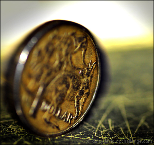 the dollar goes for a spin