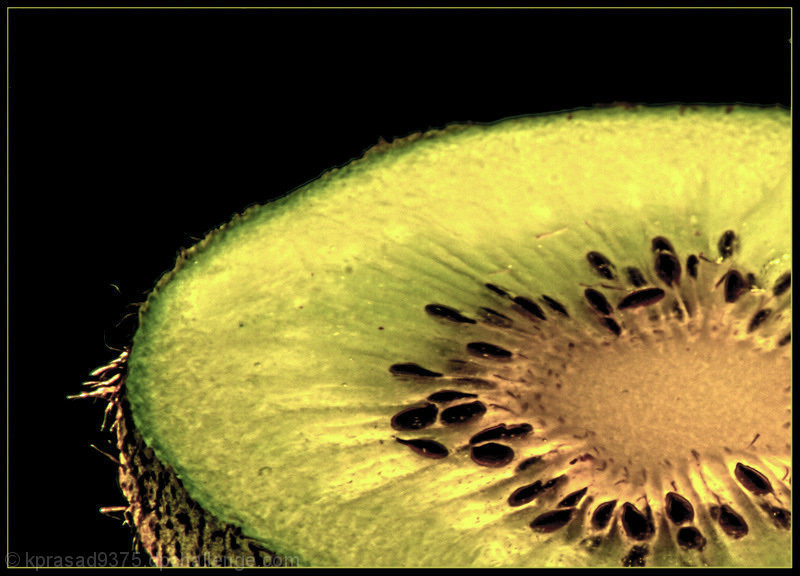 Kiwi