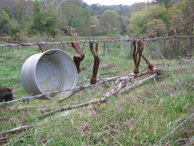 Can on the fence