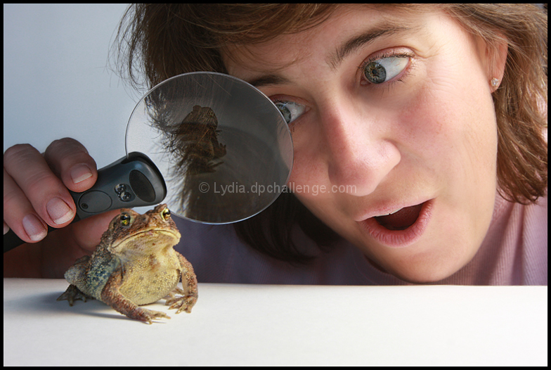 "Wonder"  -    (aka  "Lydia Lost a Bet")