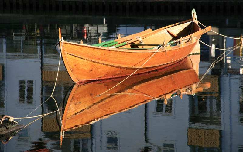 Summer Reflect