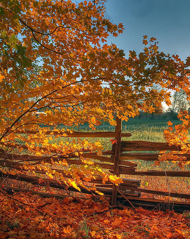 Fall in Canada