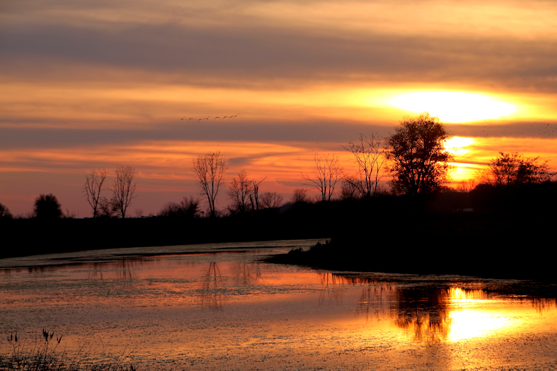 Marsh Sunset