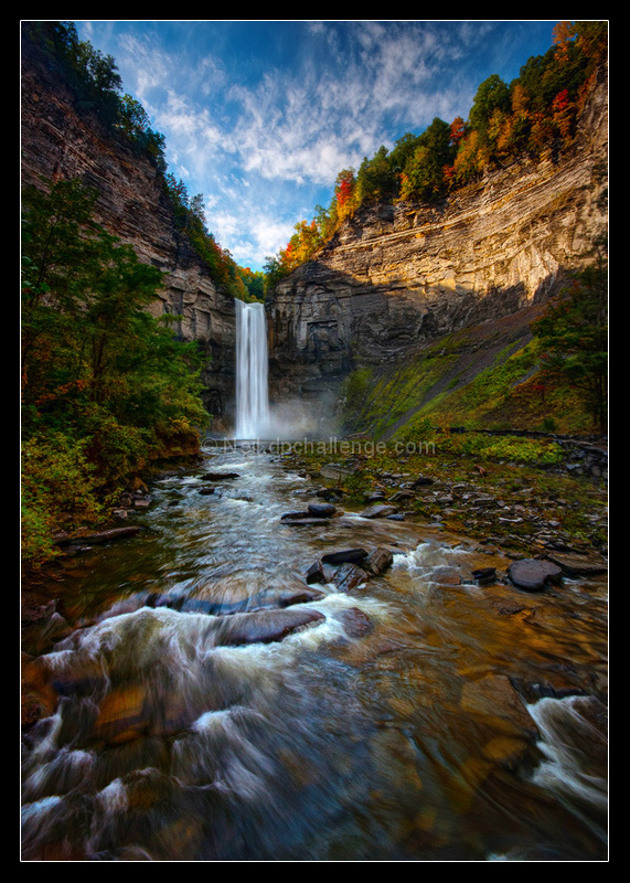 Autumn Riches