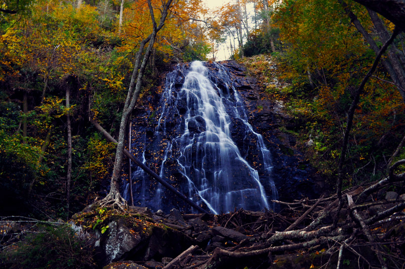 Falling for Fall