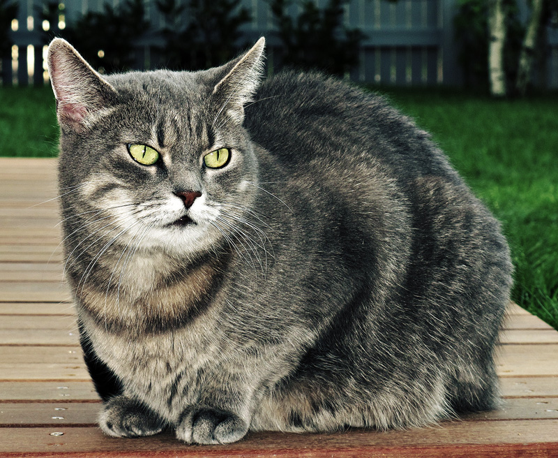 Her royal grumpiness