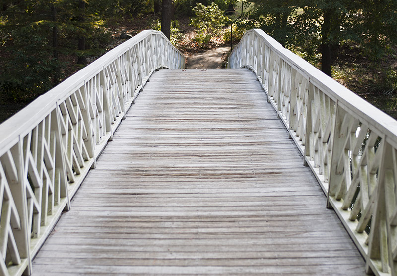 The Bridge - Pathway to Solitude