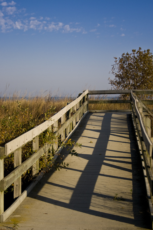 Dune Bridge