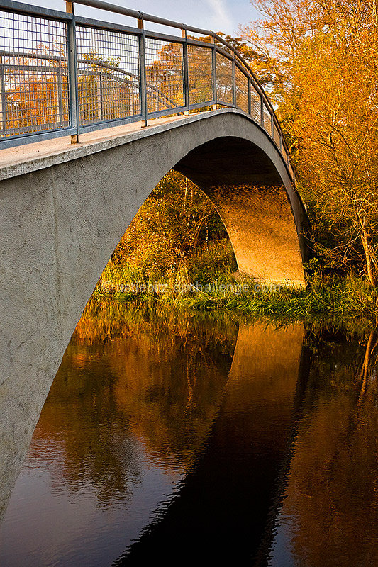 Reflection