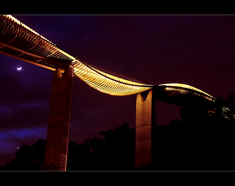 Henderson Waves, Singapore