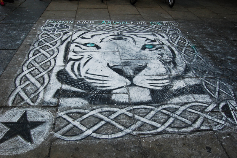 The Tiger with The Green Eyes
