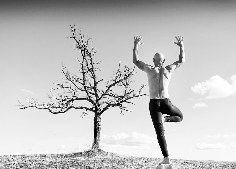 Vrksasana and an  Old Tree