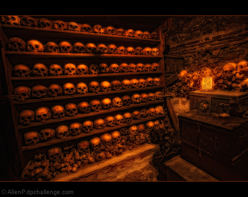 Skulls -- By The Misfits