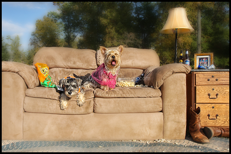 The World really did... Go to the Dogs