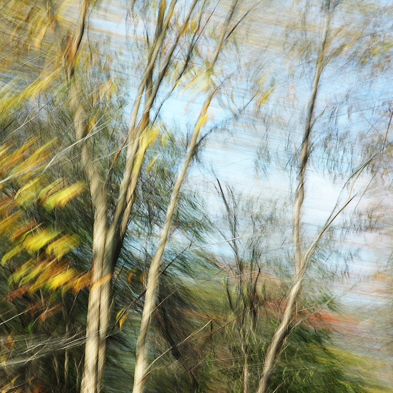 fallshine